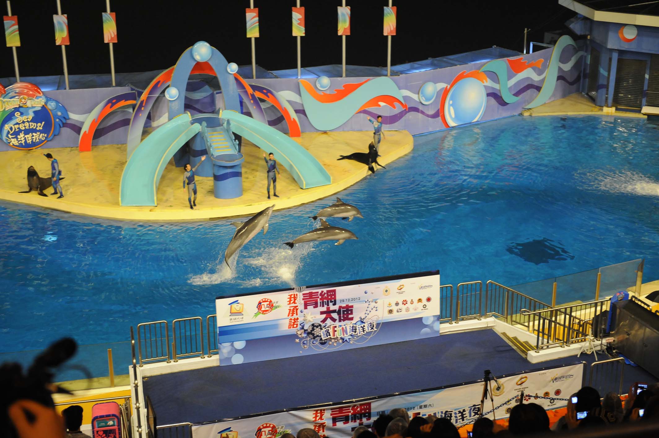 The event included awards presentation, sea animal show, games and singers’ performance. - photo2